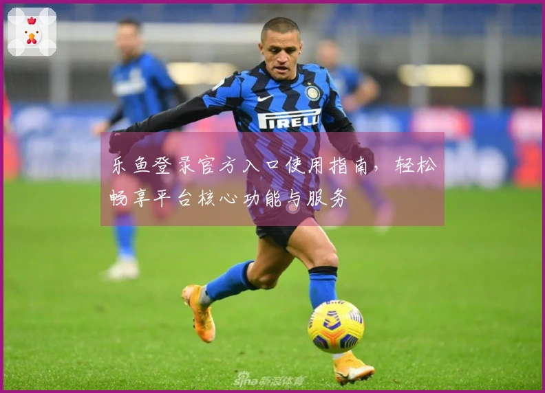 乐鱼登录官方入口使用指南，轻松畅享平台核心功能与服务