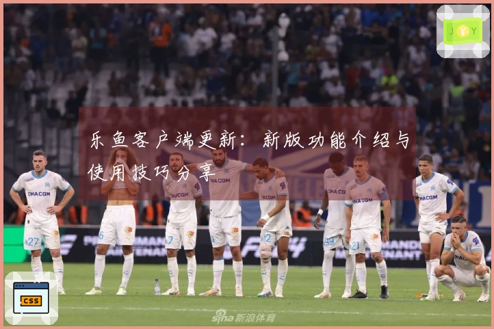 乐鱼客户端更新：新版功能介绍与使用技巧分享