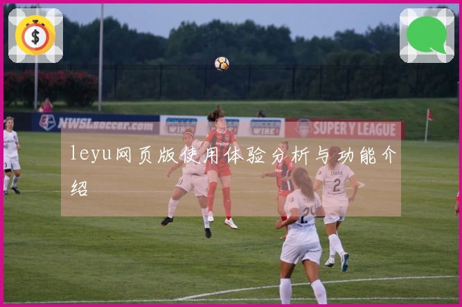leyu网页版使用体验分析与功能介绍