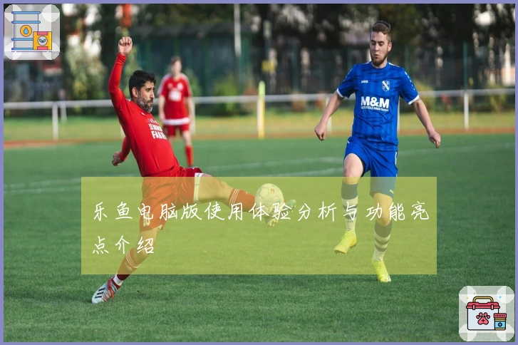 乐鱼电脑版使用体验分析与功能亮点介绍