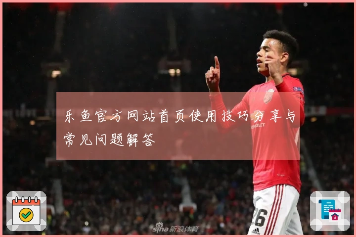 乐鱼官方网站首页使用技巧分享与常见问题解答